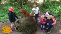 Gruffalo Spotting at Salcey Forest