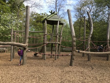 Salcey Forest Playground