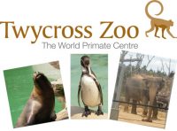 twycross_zoo